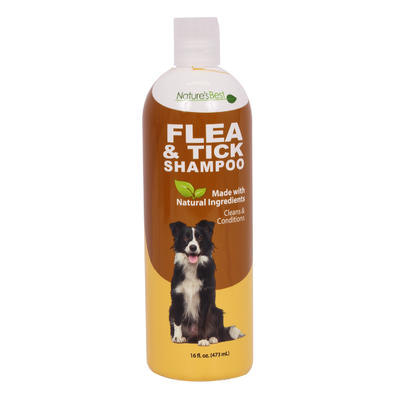 flea tick shampoo