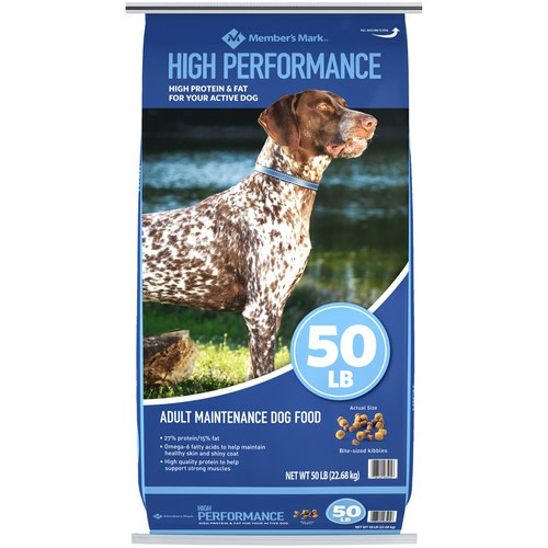 performance dog
